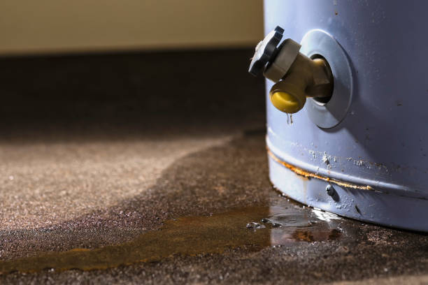 Best Local water damage restoration  in Royal Pines, NC