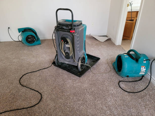 Best Professional water damage repair  in Royal Pines, NC