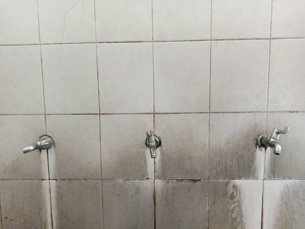 Water damage restoration mold remediation in NC