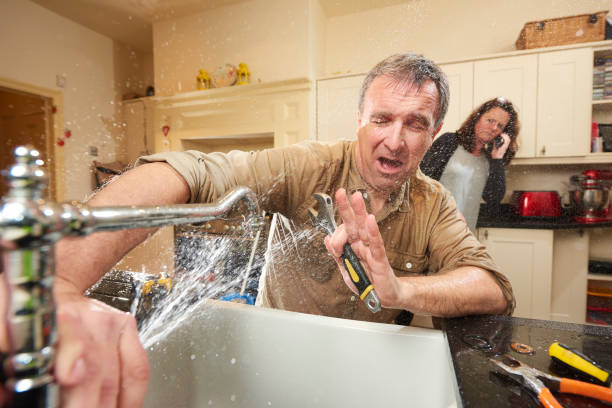  Royal Pines, NC Water damage restoration Pros